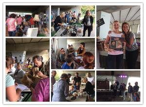 2018 fotocollage UTB.jpg